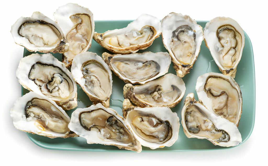 Unshucked Oysters at Home Creating a Seafood Feast in Kitchen Seafood Boss