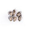 Strong and rich with a more distinctive flavour. They have a soft and silky texture