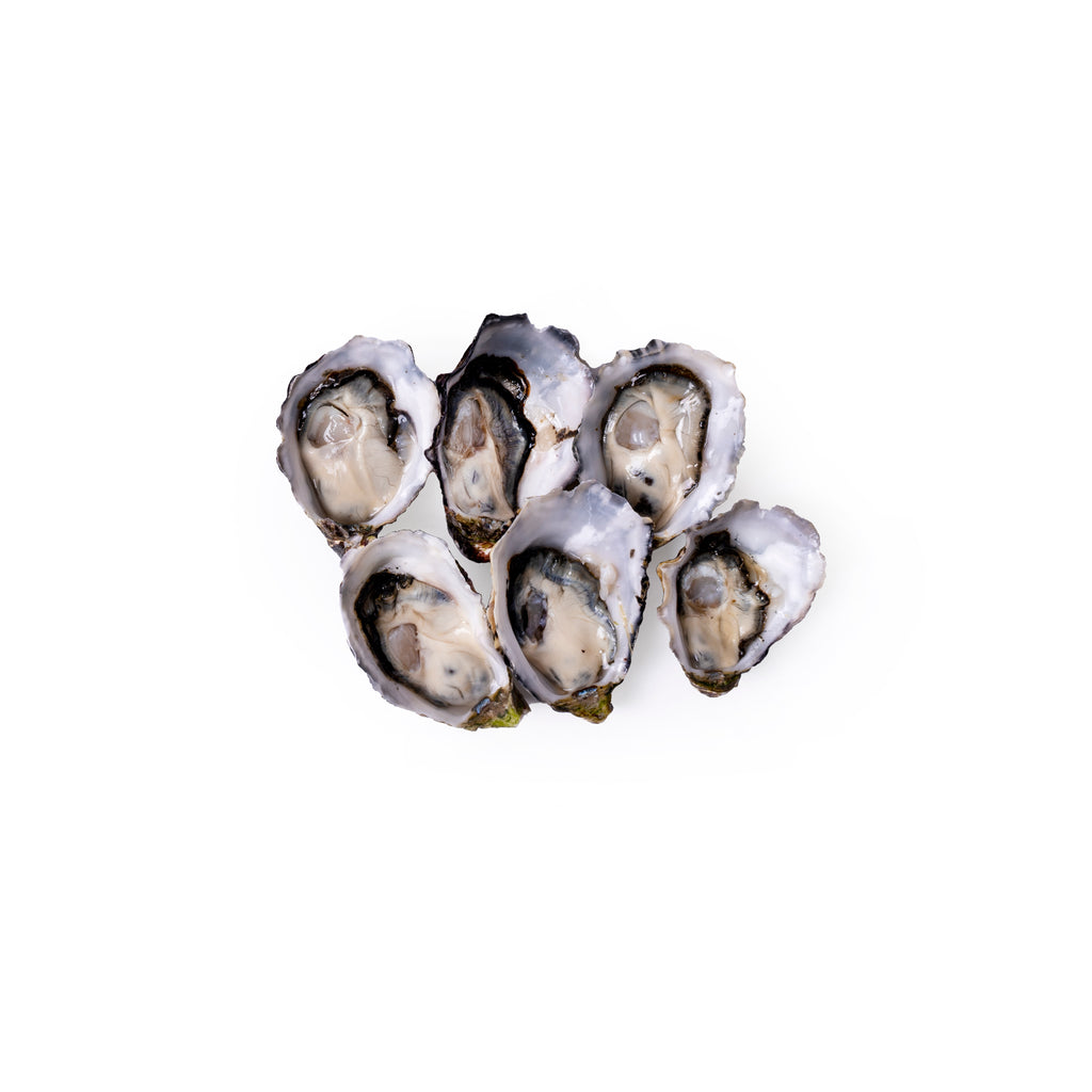 Farmed in the cold clean waters of Tasmania. They have a rich creamy texture, with a great salty burst and intense flavour