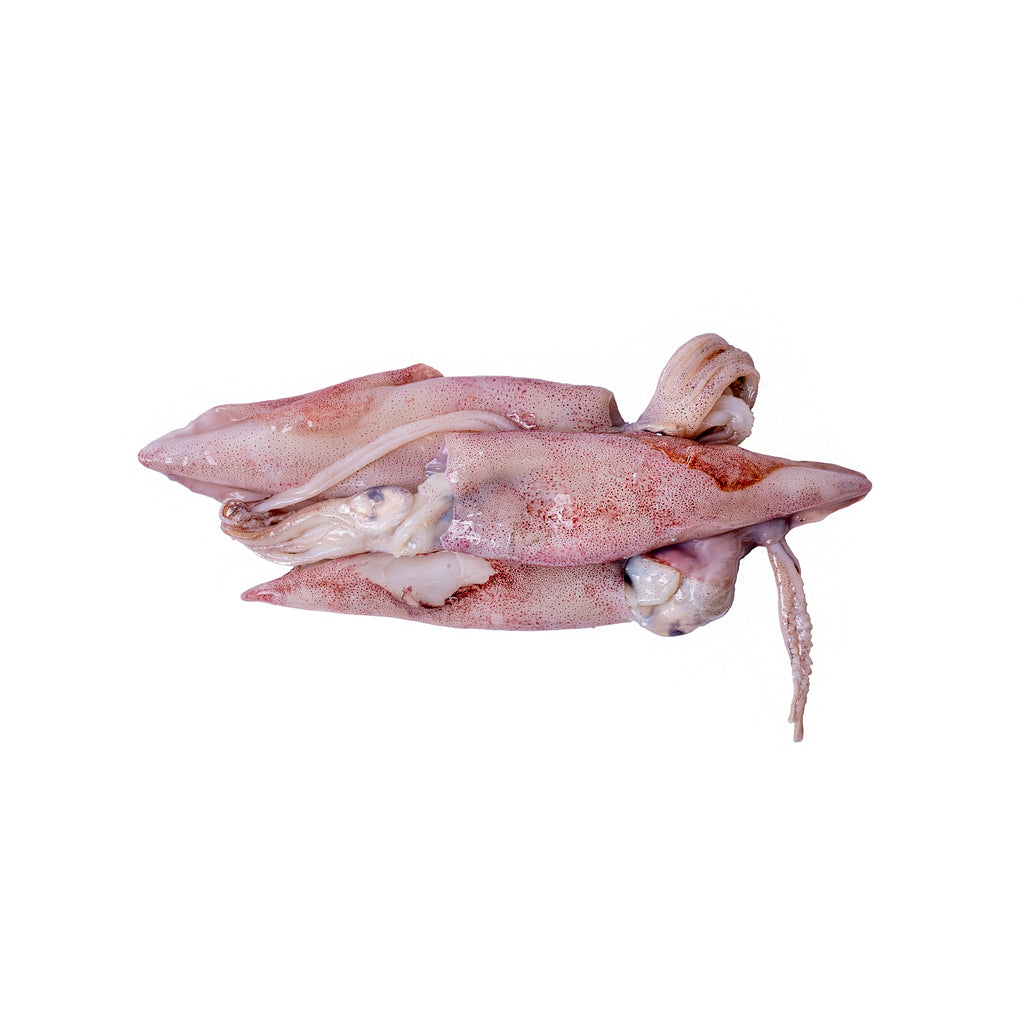 Calamari (500g pack)