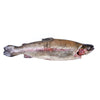 Whole Rainbow Trout (700g)