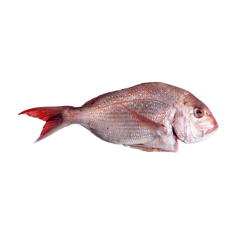 Whole Snapper (1kg Fish)