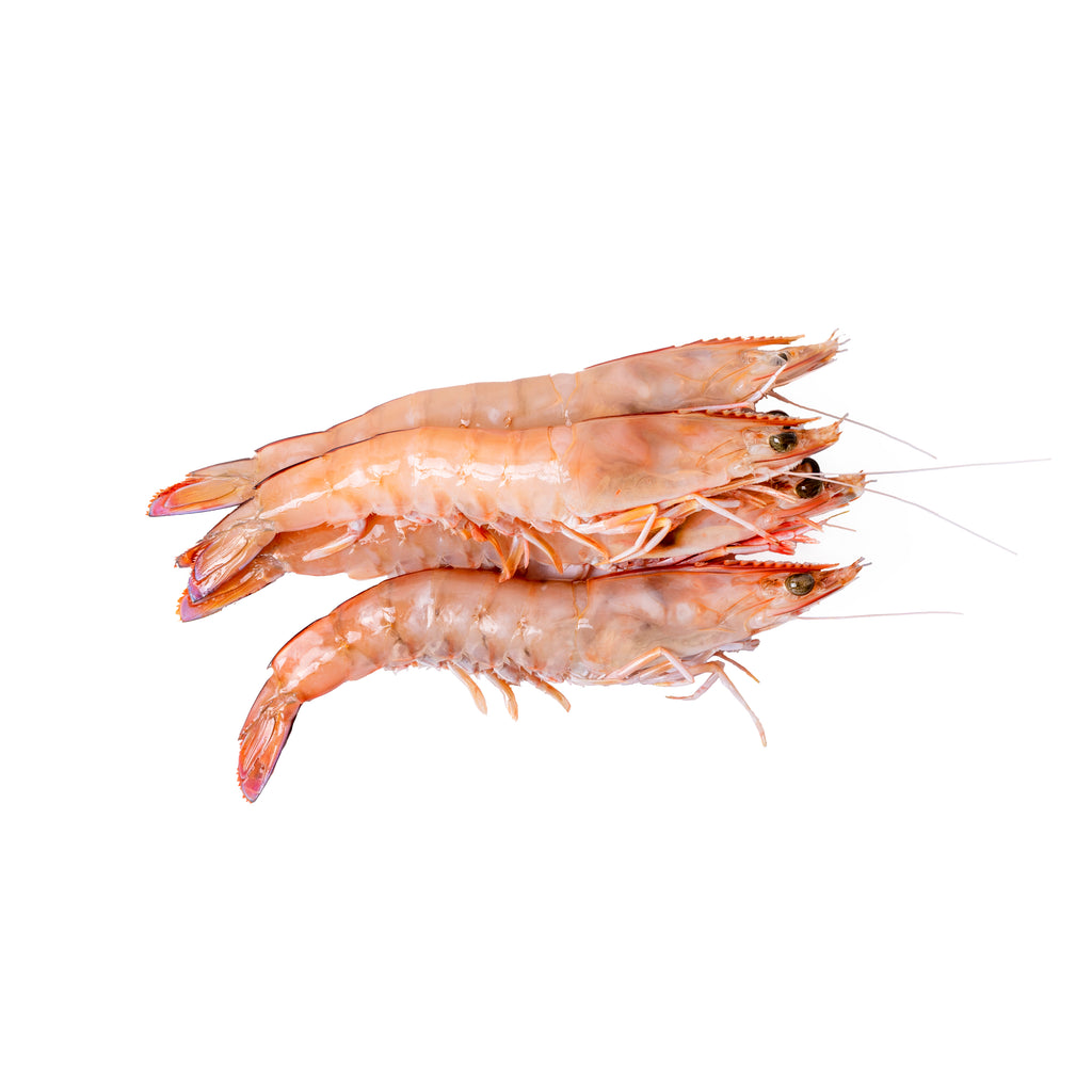 Wild Caught from Harvey Bay. Rich Flavour and moist saltier flesh. Approximately 6 prawns per 500g 