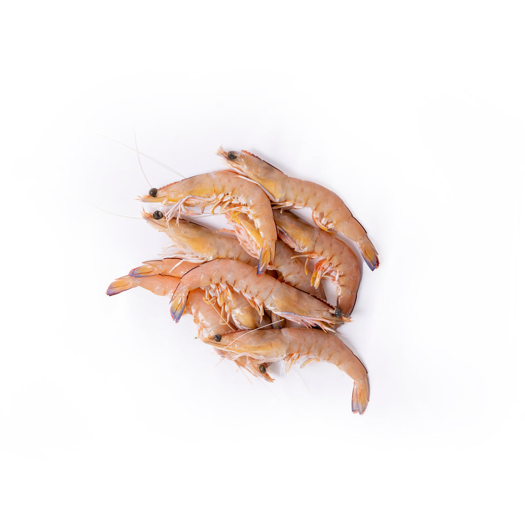 Queensland wild caught prawns. Rich flavour and moist flesh. Approximately 18 – 20 prawns per 500g