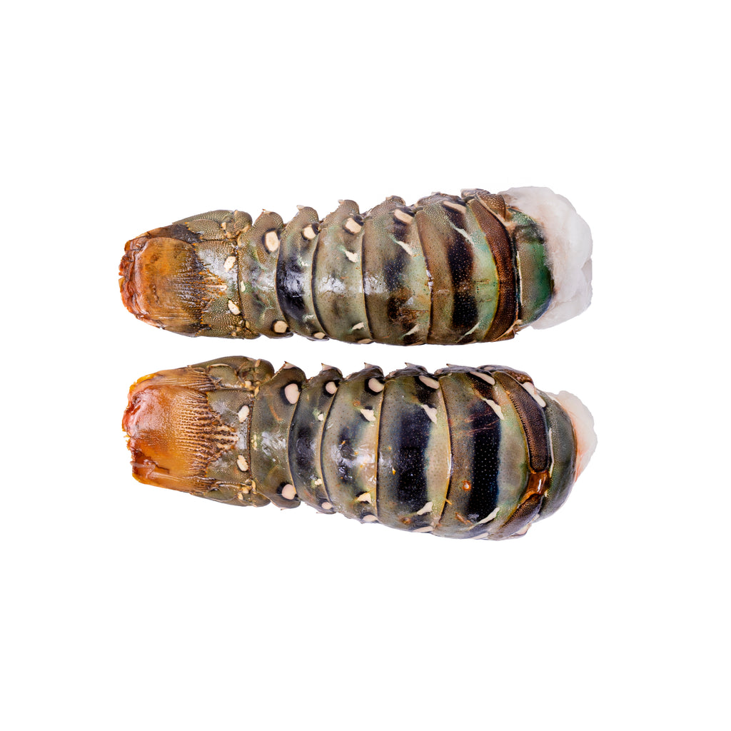 Lobster Tails (raw) 400g Each (1 piece)